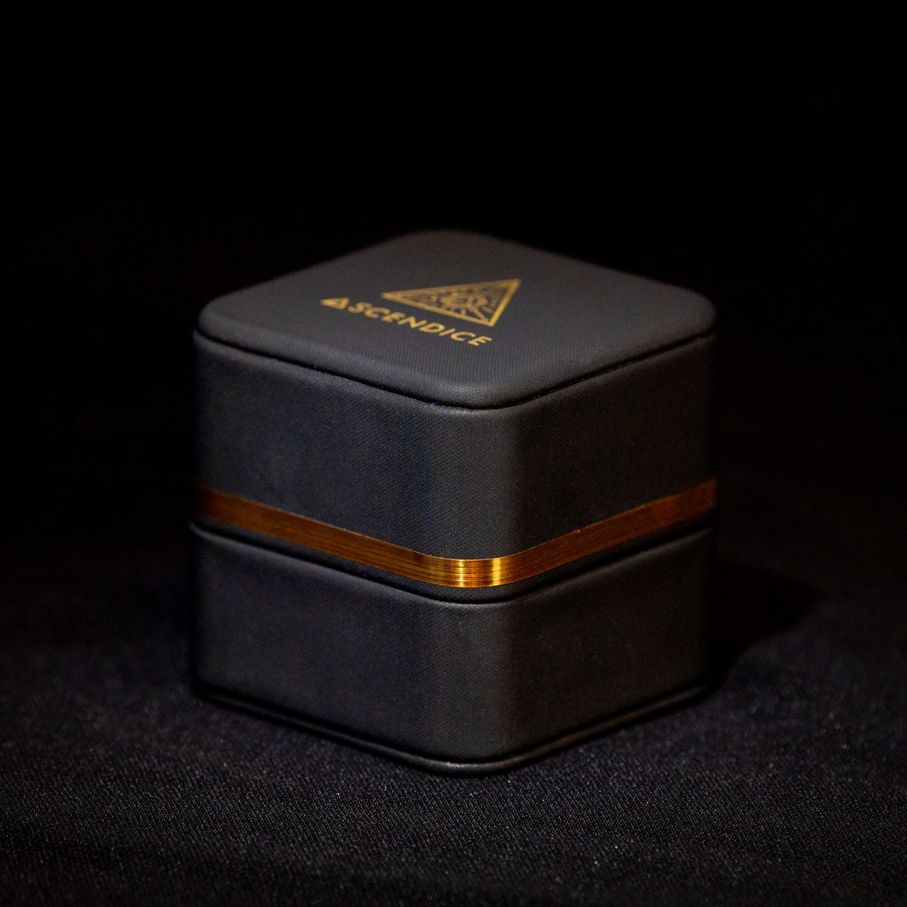 Ascendice Illuminated Dice Case